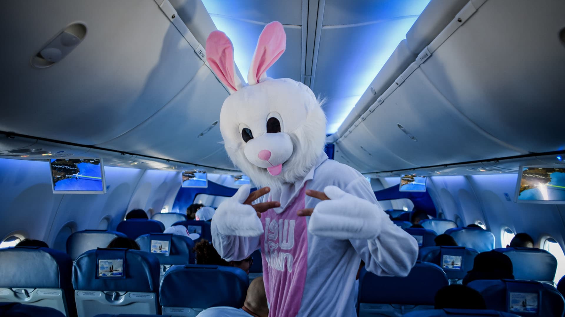 יורט דה מאר